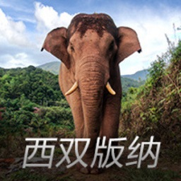 实锤了！鹿晗35岁生日，陈赫邓超送祝福，相恋八年女友关晓彤缺席